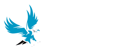 Falcon